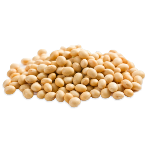 SOYA BEANS